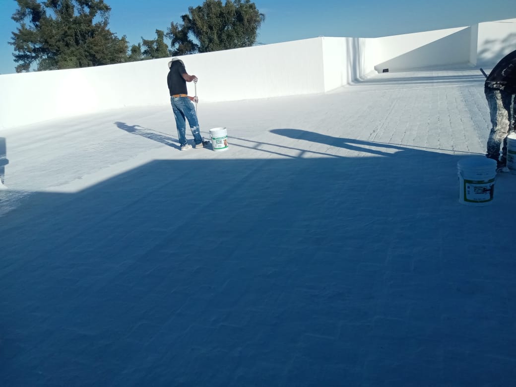 Imagen del proyecto