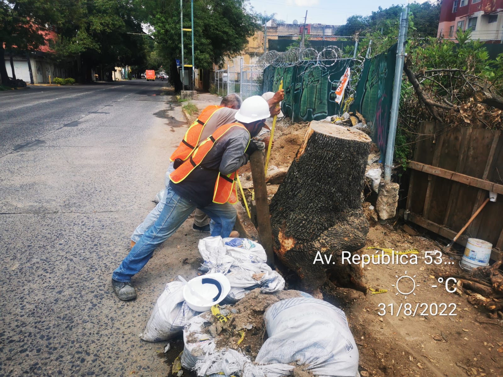 Imagen del proyecto