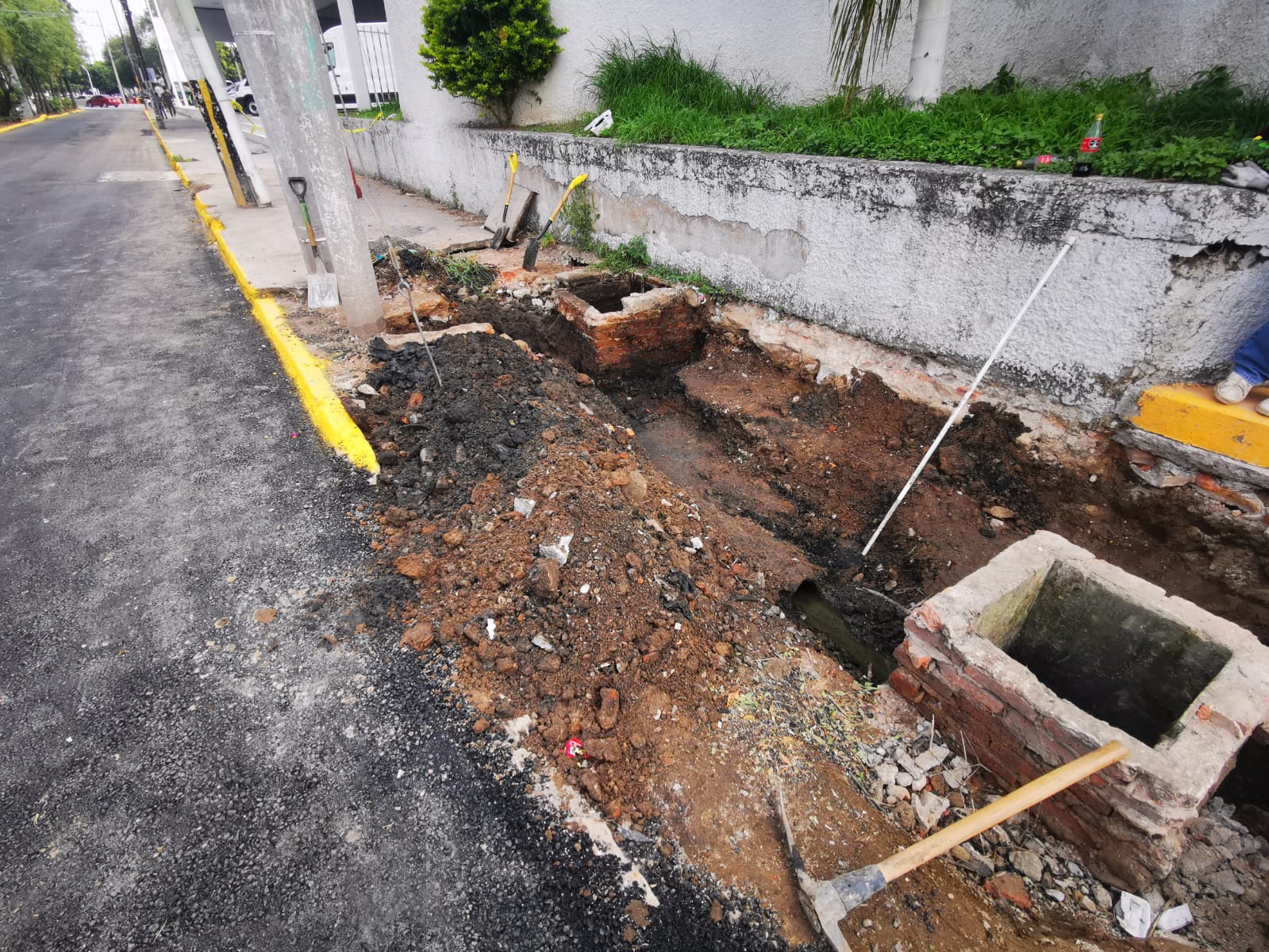 Imagen del proyecto