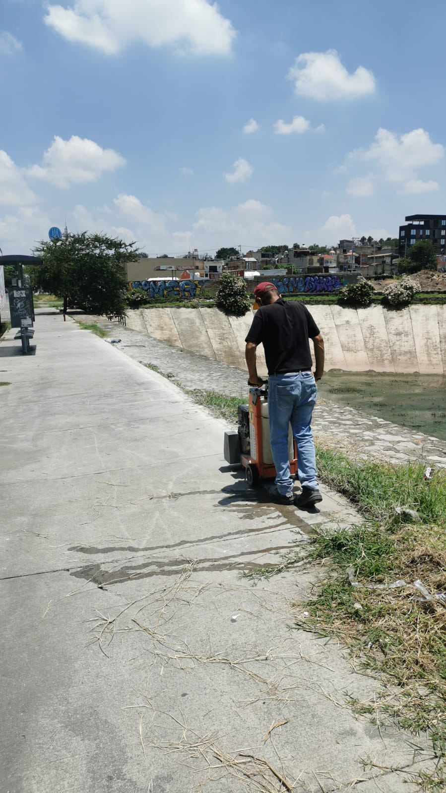 Imagen del proyecto