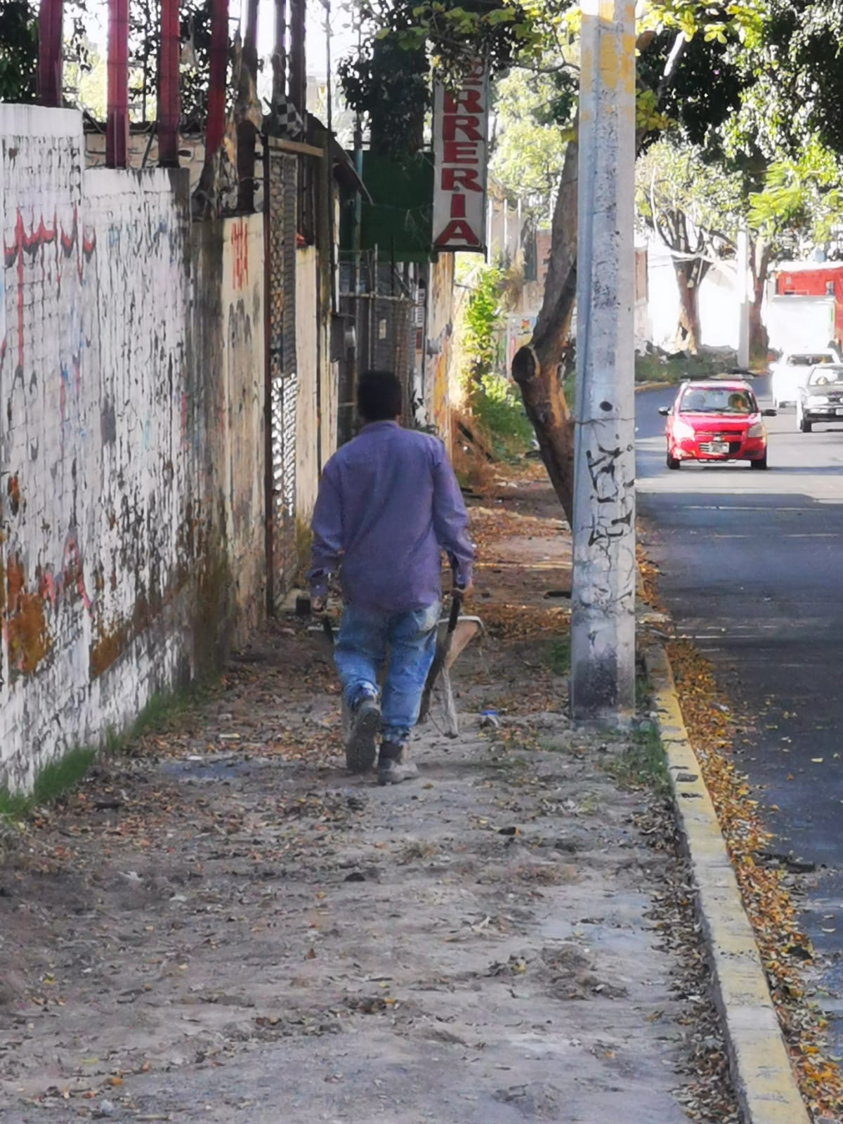 Imagen del proyecto
