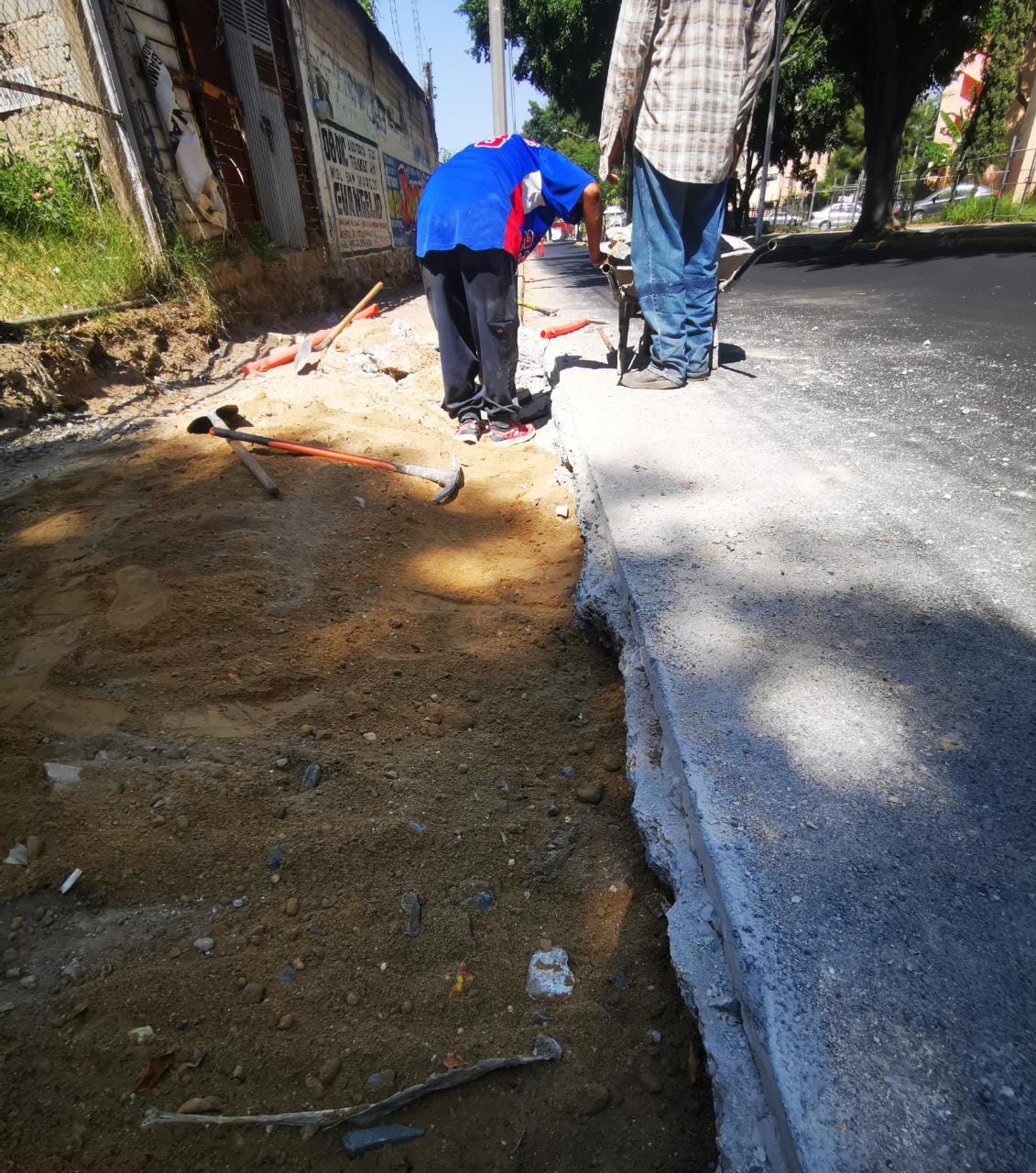 Imagen del proyecto