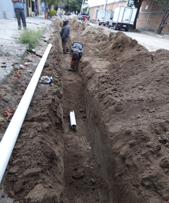 Imagen del proyecto