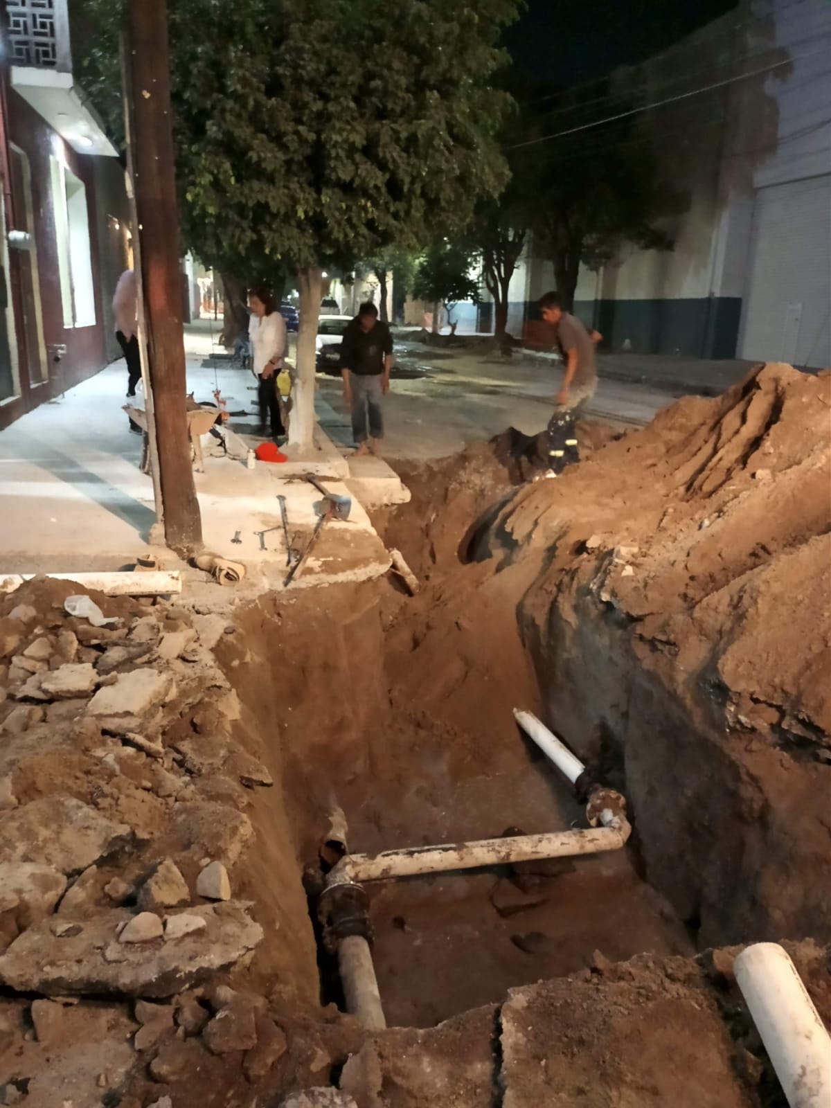 Imagen del proyecto