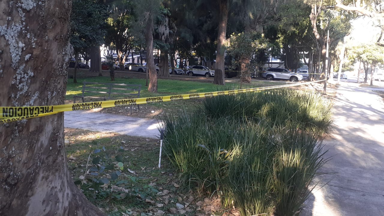 Imagen del proyecto