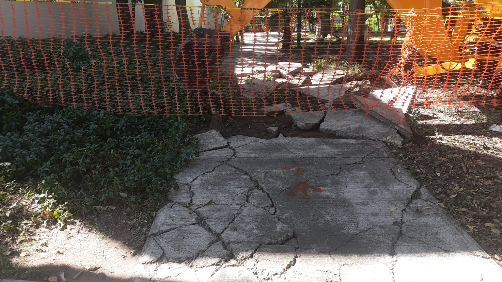 Imagen del proyecto