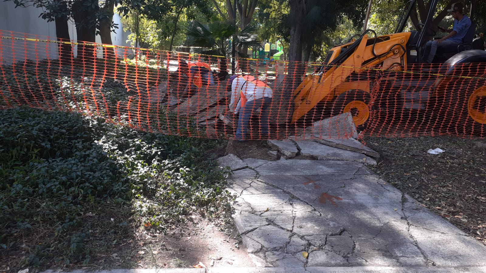 Imagen del proyecto