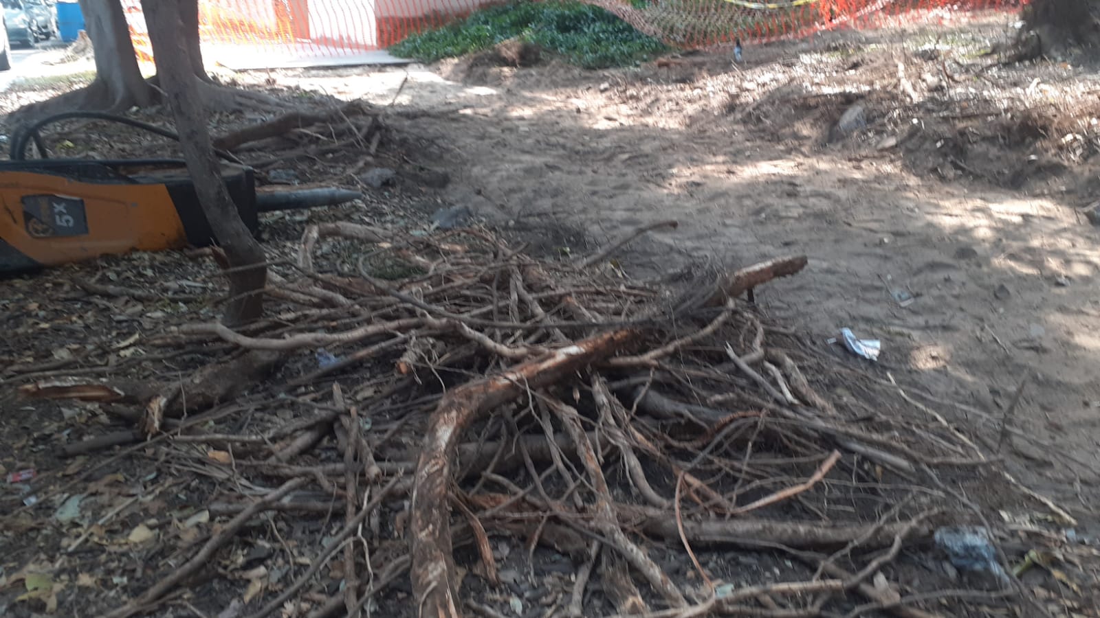 Imagen del proyecto
