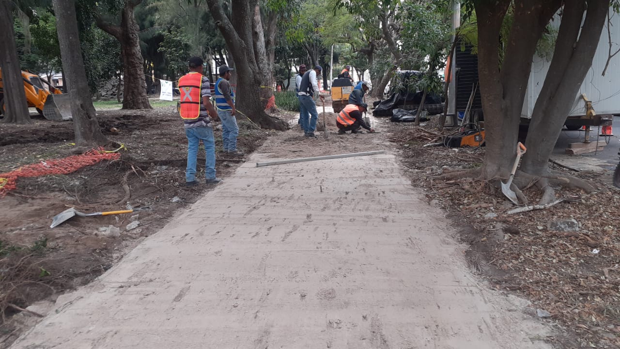 Imagen del proyecto