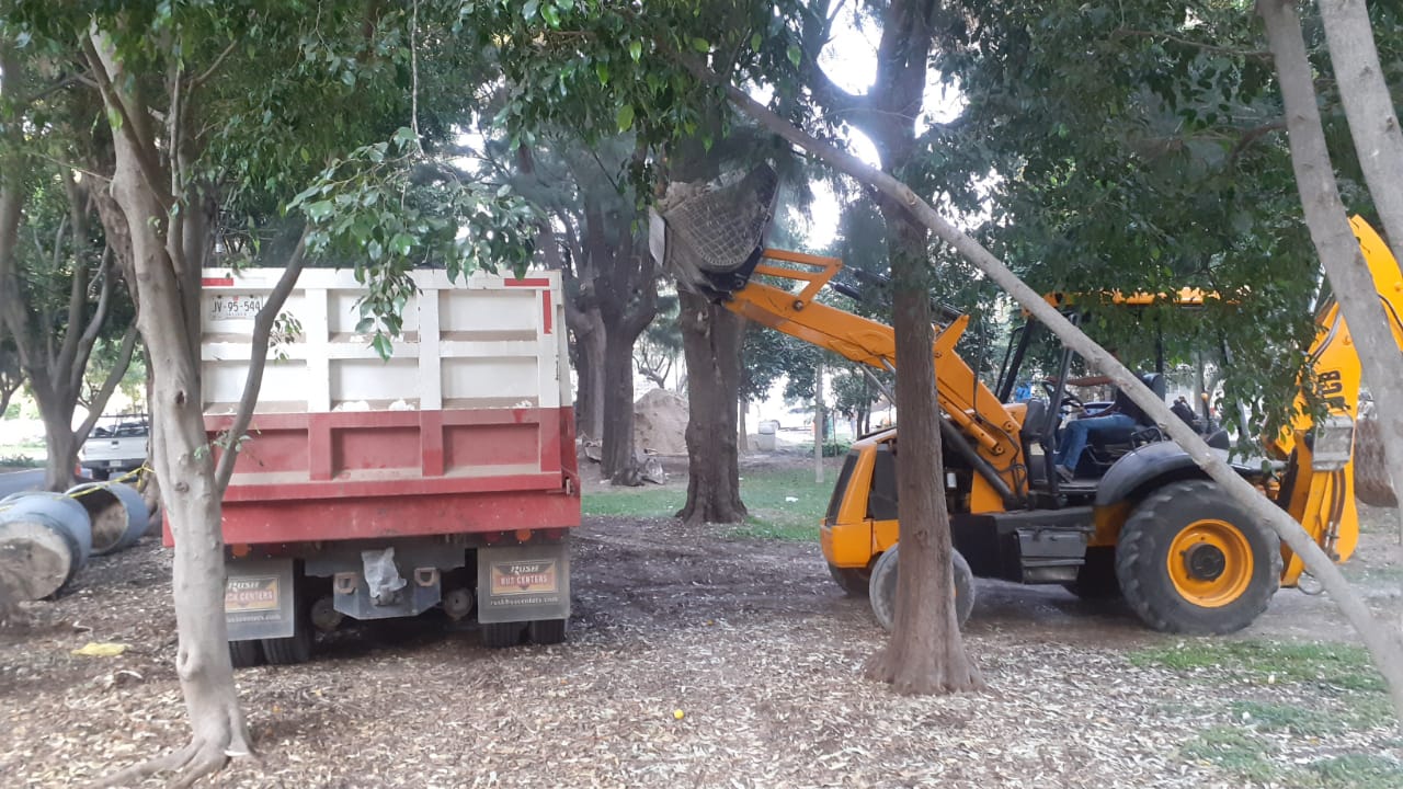 Imagen del proyecto