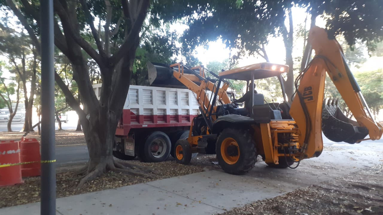 Imagen del proyecto