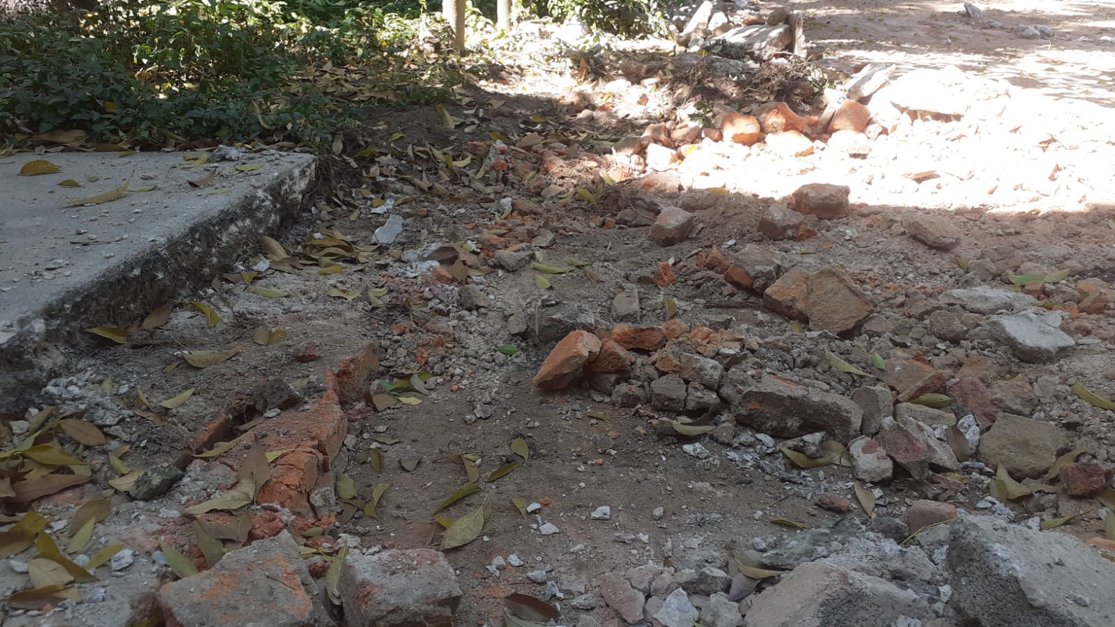 Imagen del proyecto