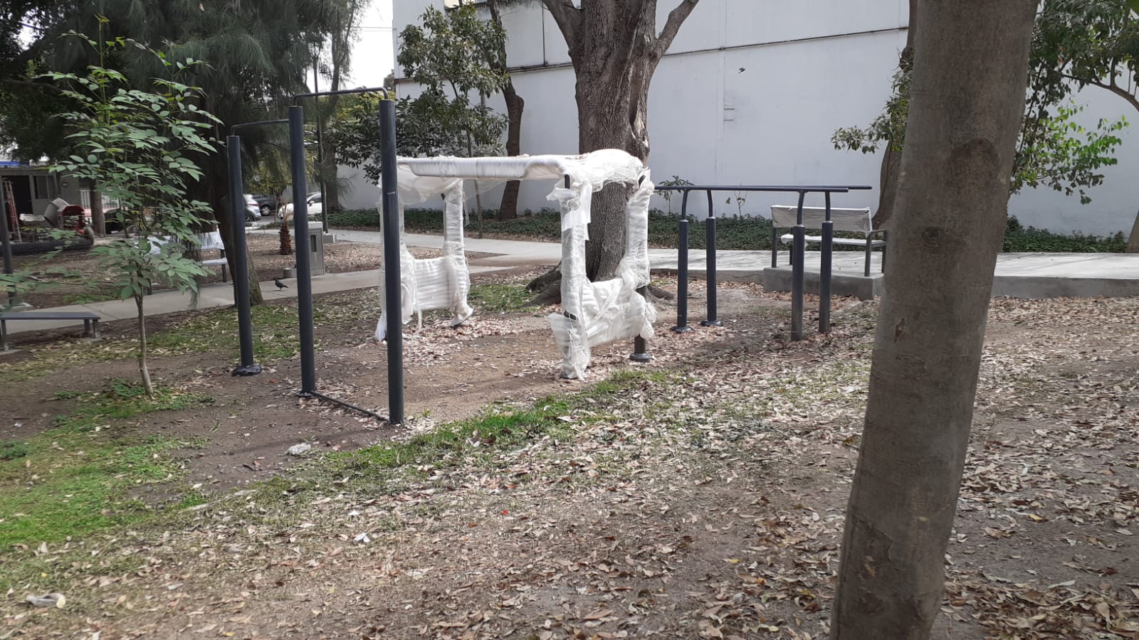 Imagen del proyecto