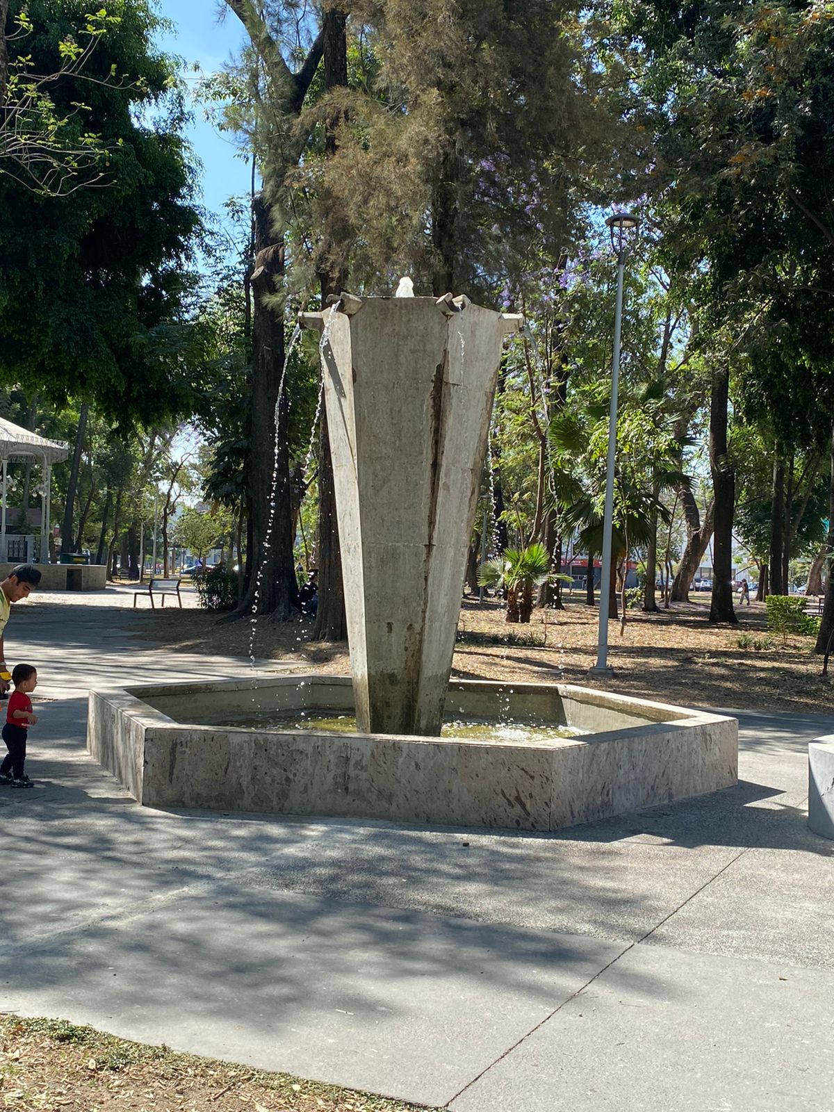Imagen del proyecto