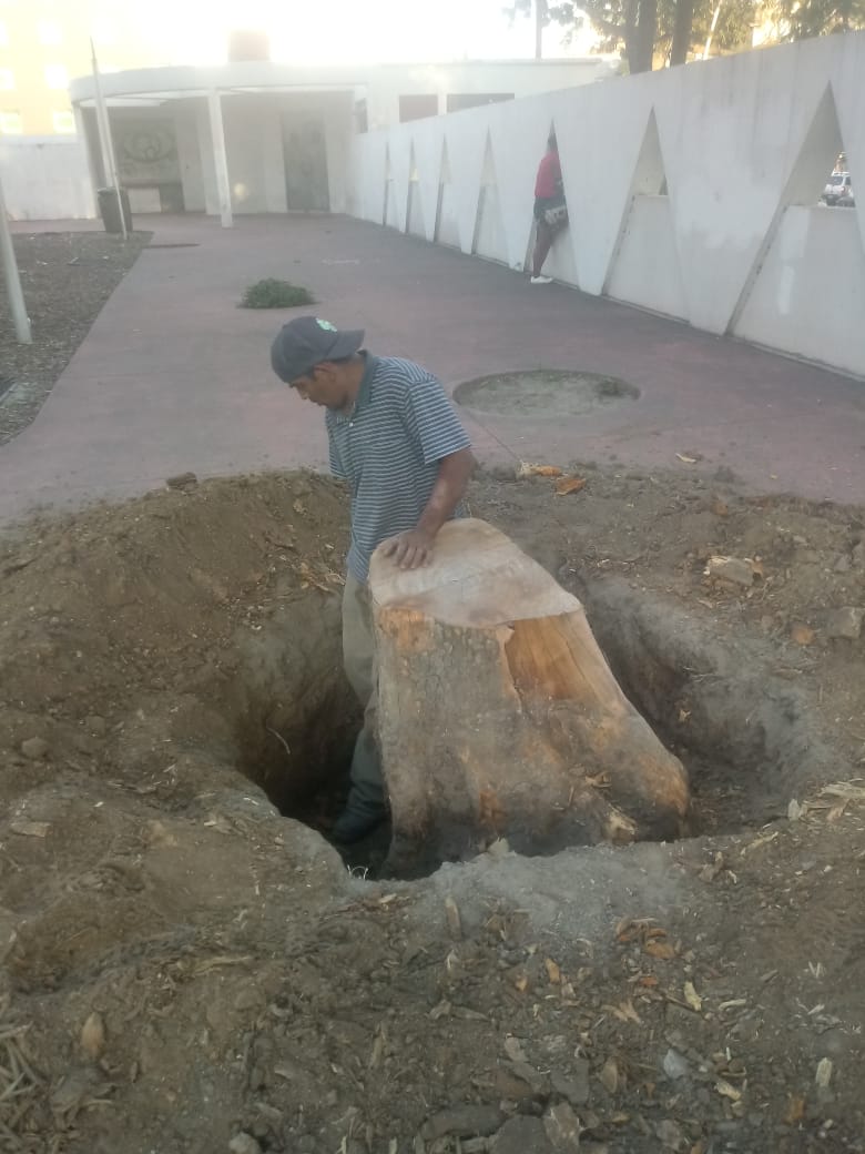 Imagen del proyecto