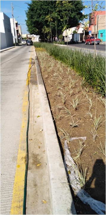 Imagen del proyecto
