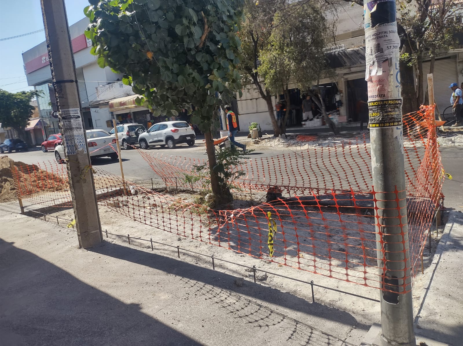 Imagen del proyecto