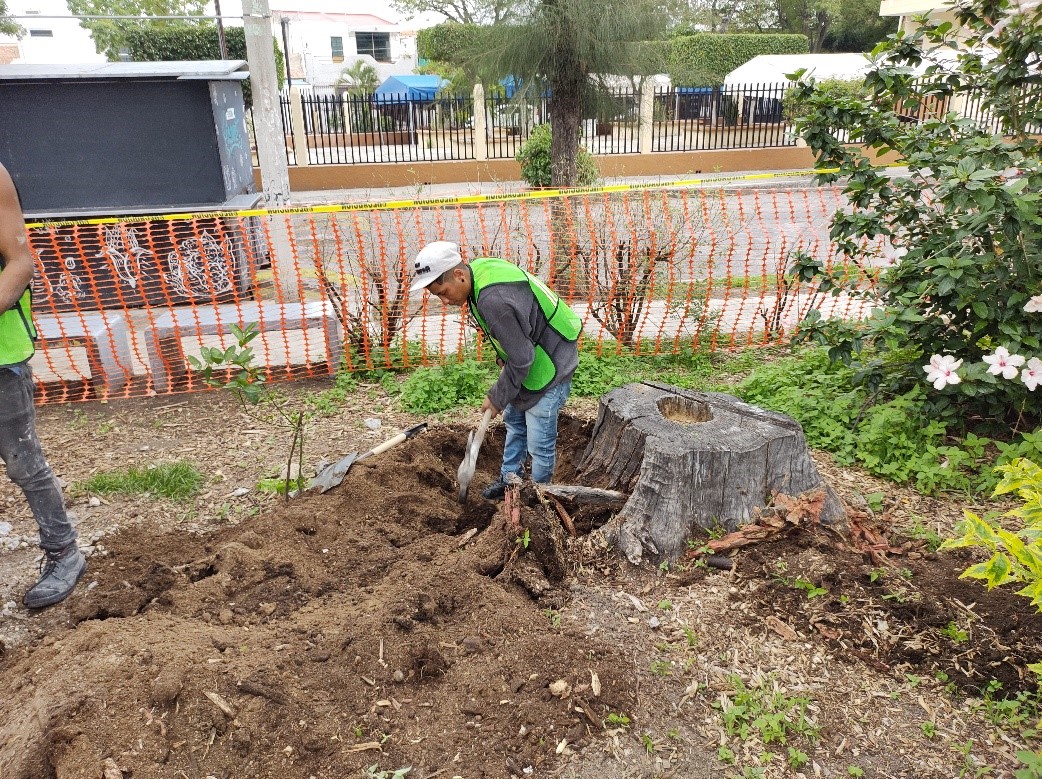 Imagen del proyecto