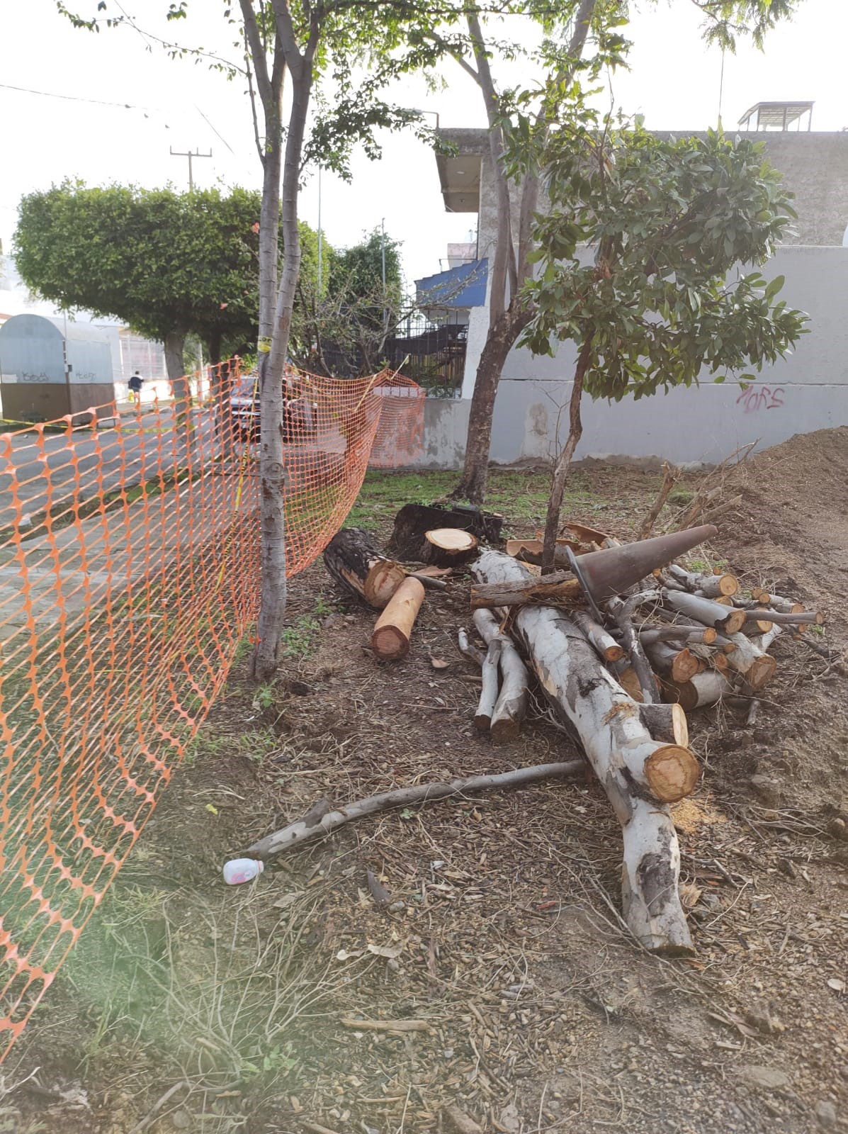 Imagen del proyecto