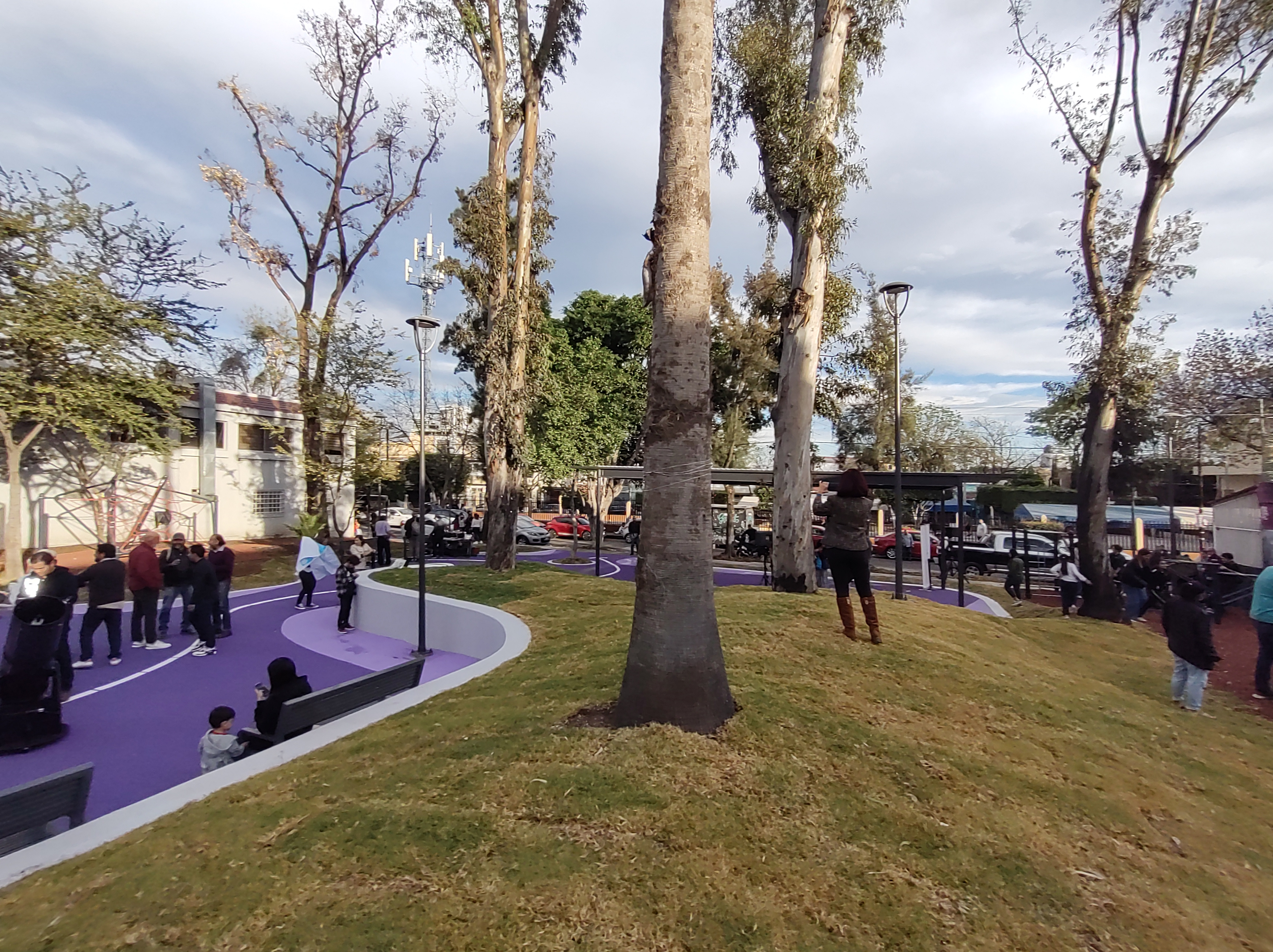 Imagen del Proyecto