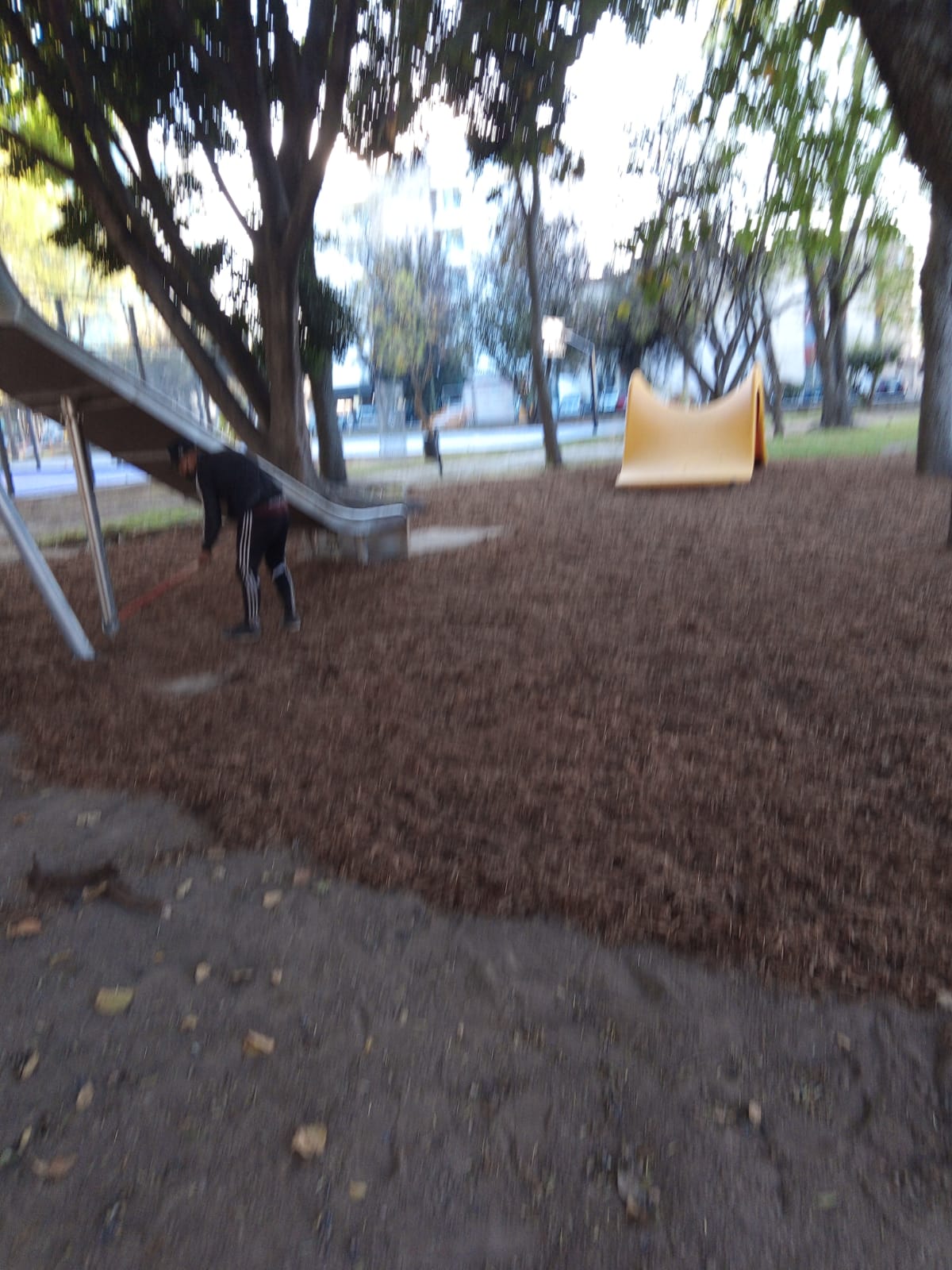 Imagen del proyecto