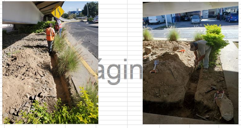 Imagen del proyecto