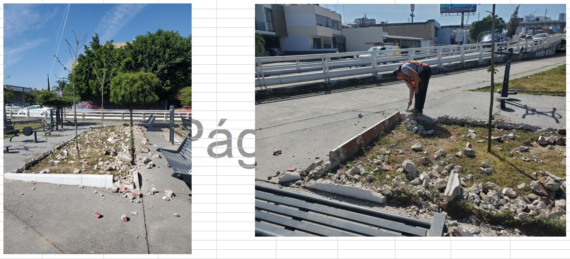 Imagen del proyecto