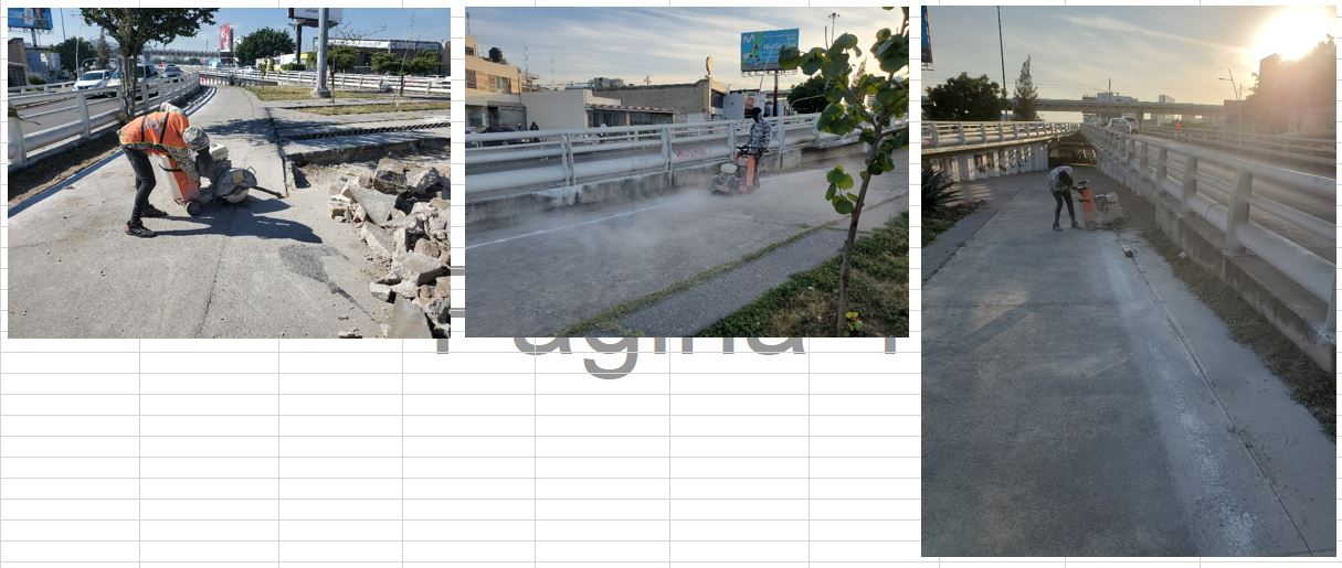 Imagen del proyecto