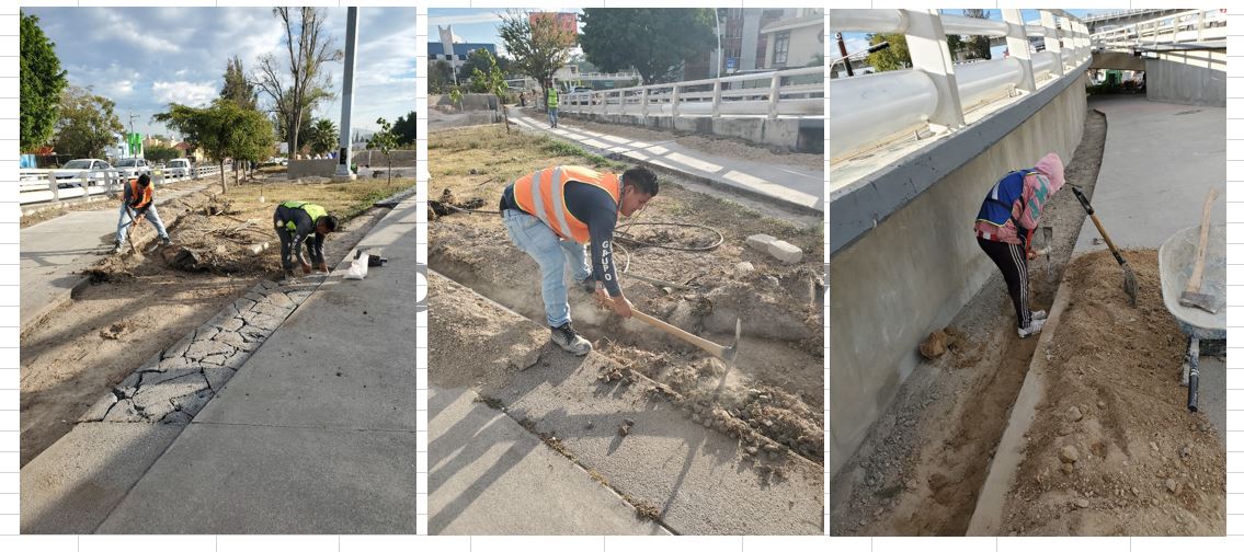 Imagen del proyecto
