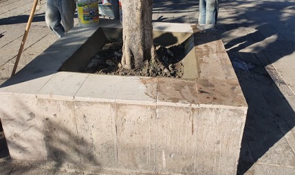 Imagen del proyecto