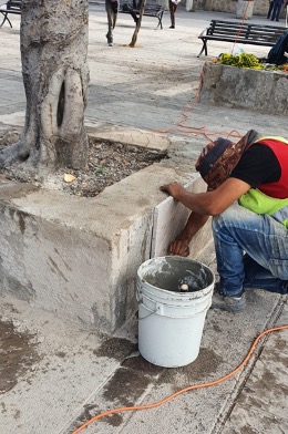 Imagen del proyecto