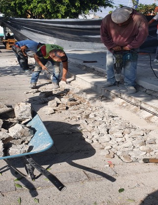 Imagen del Proyecto