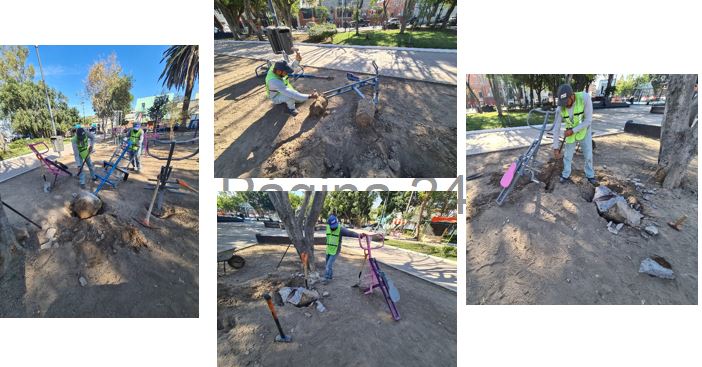 Imagen del proyecto