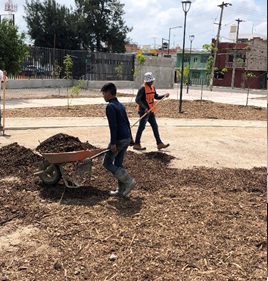 Imagen del proyecto