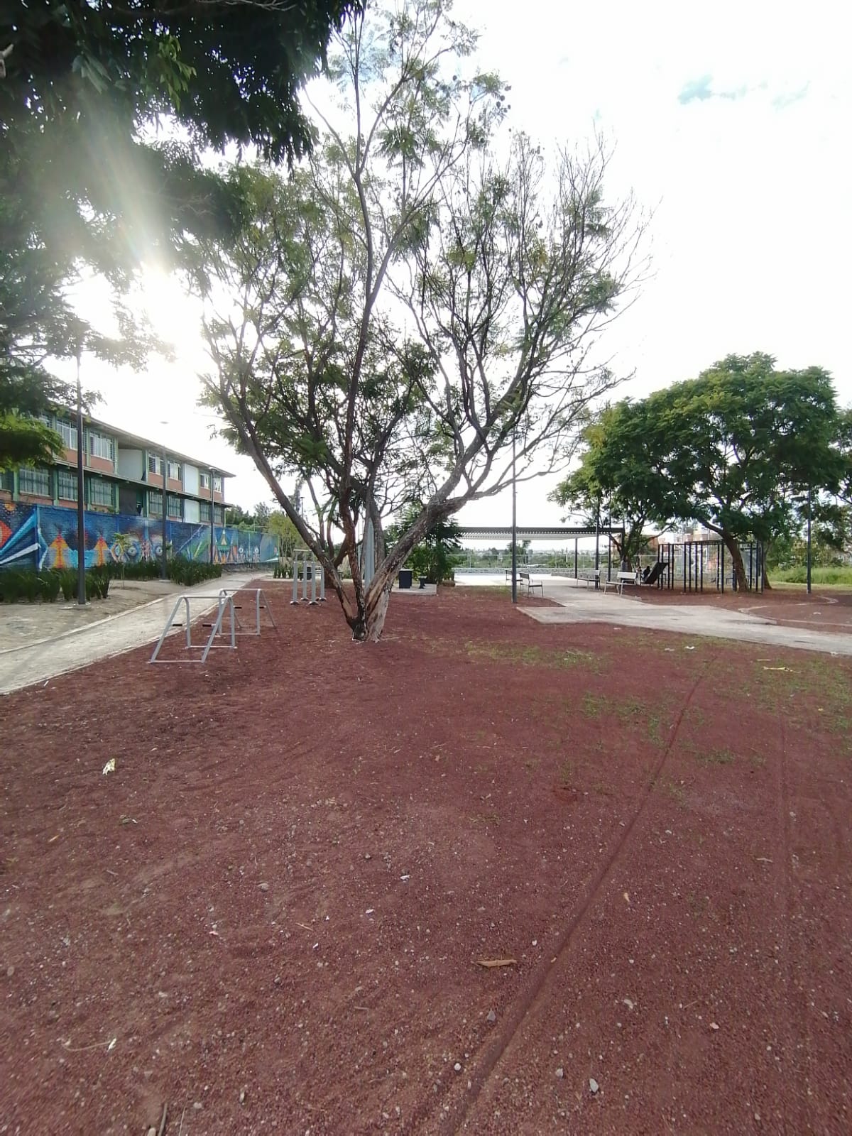 Imagen del proyecto