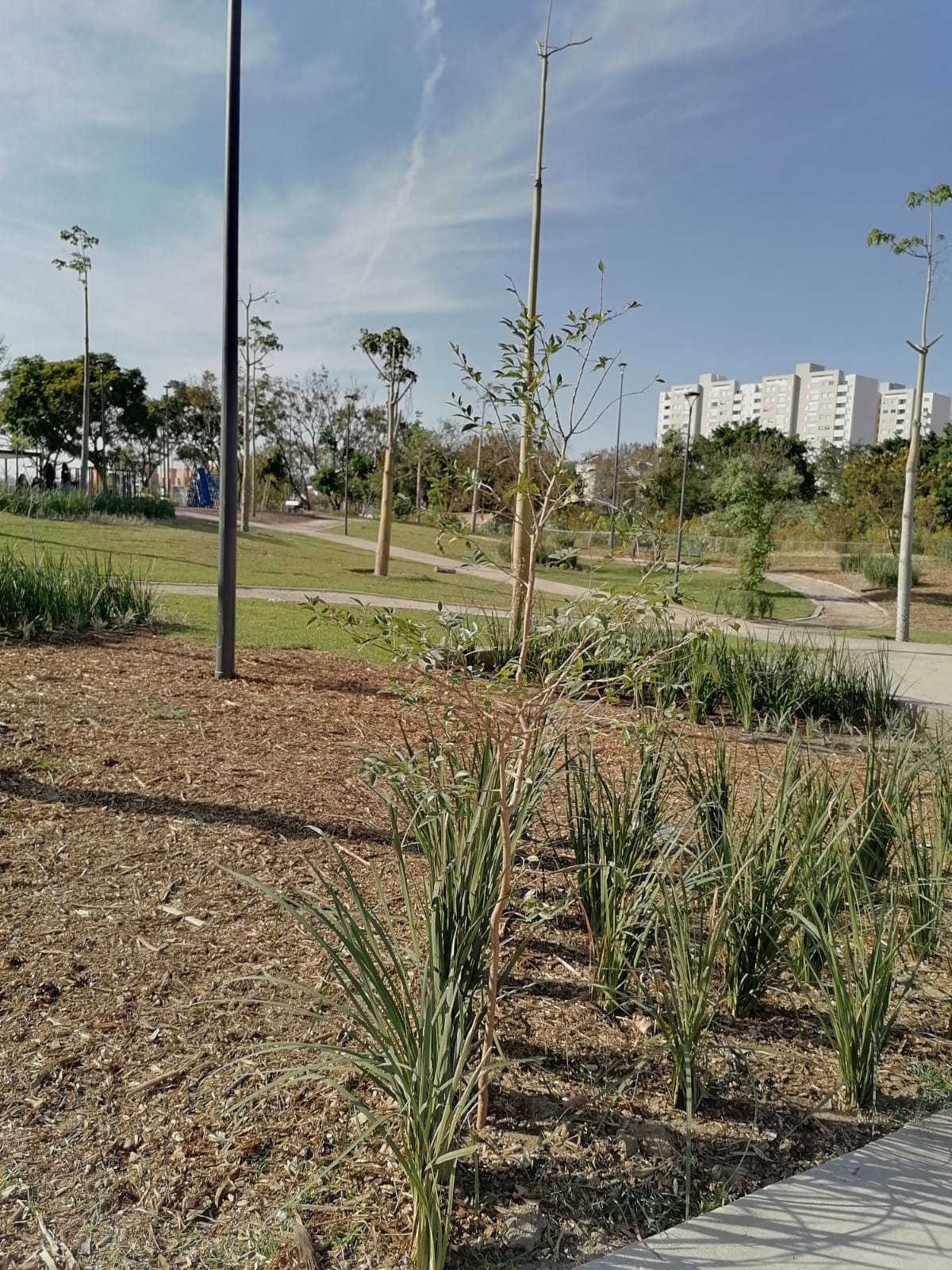 Imagen del proyecto