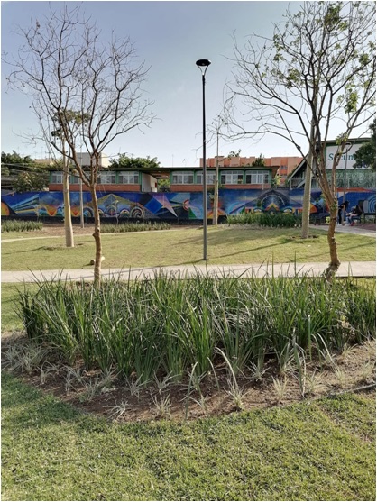 Imagen del Proyecto