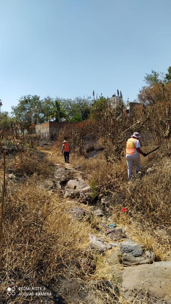 Imagen del proyecto
