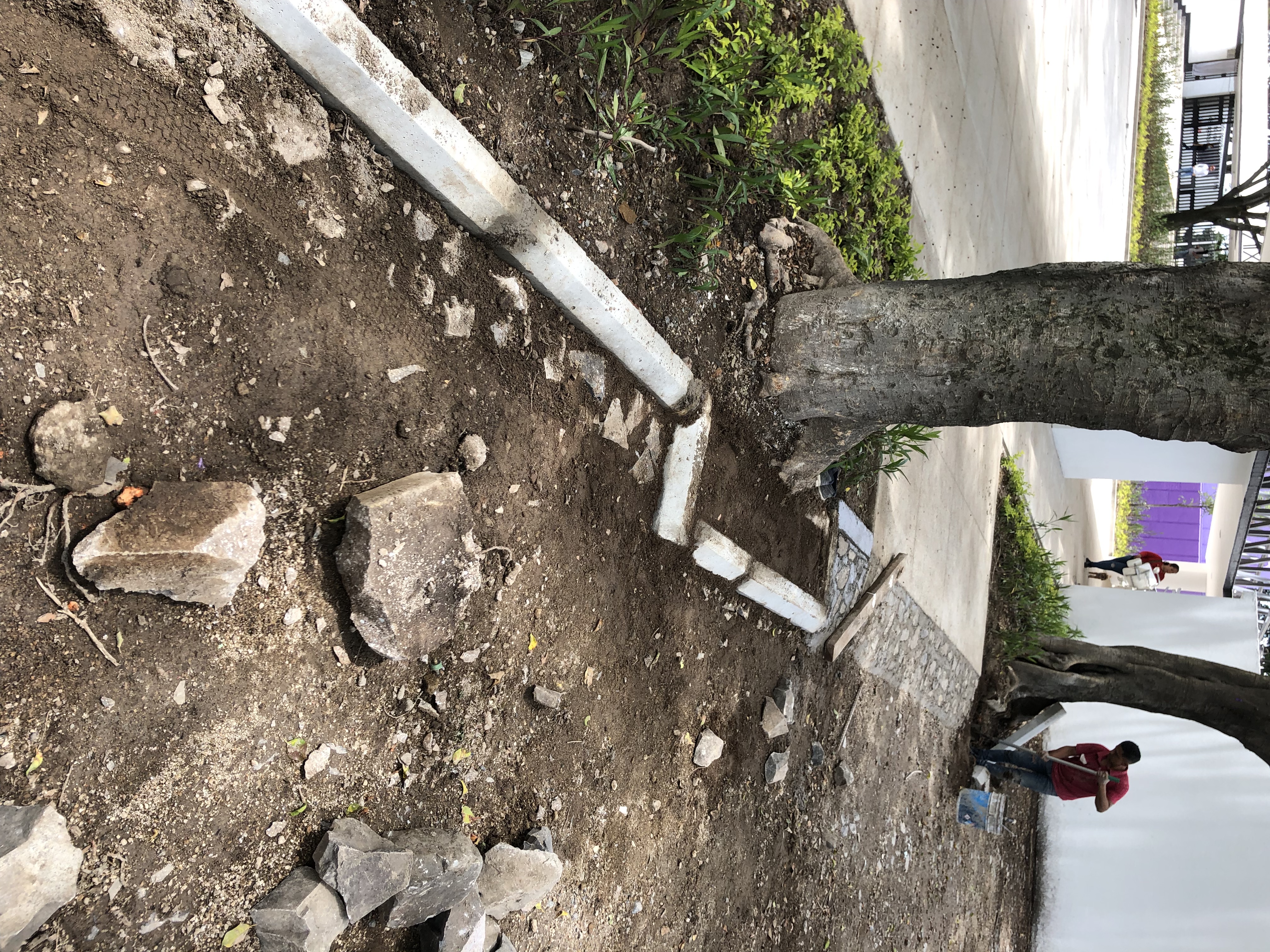 Imagen del proyecto