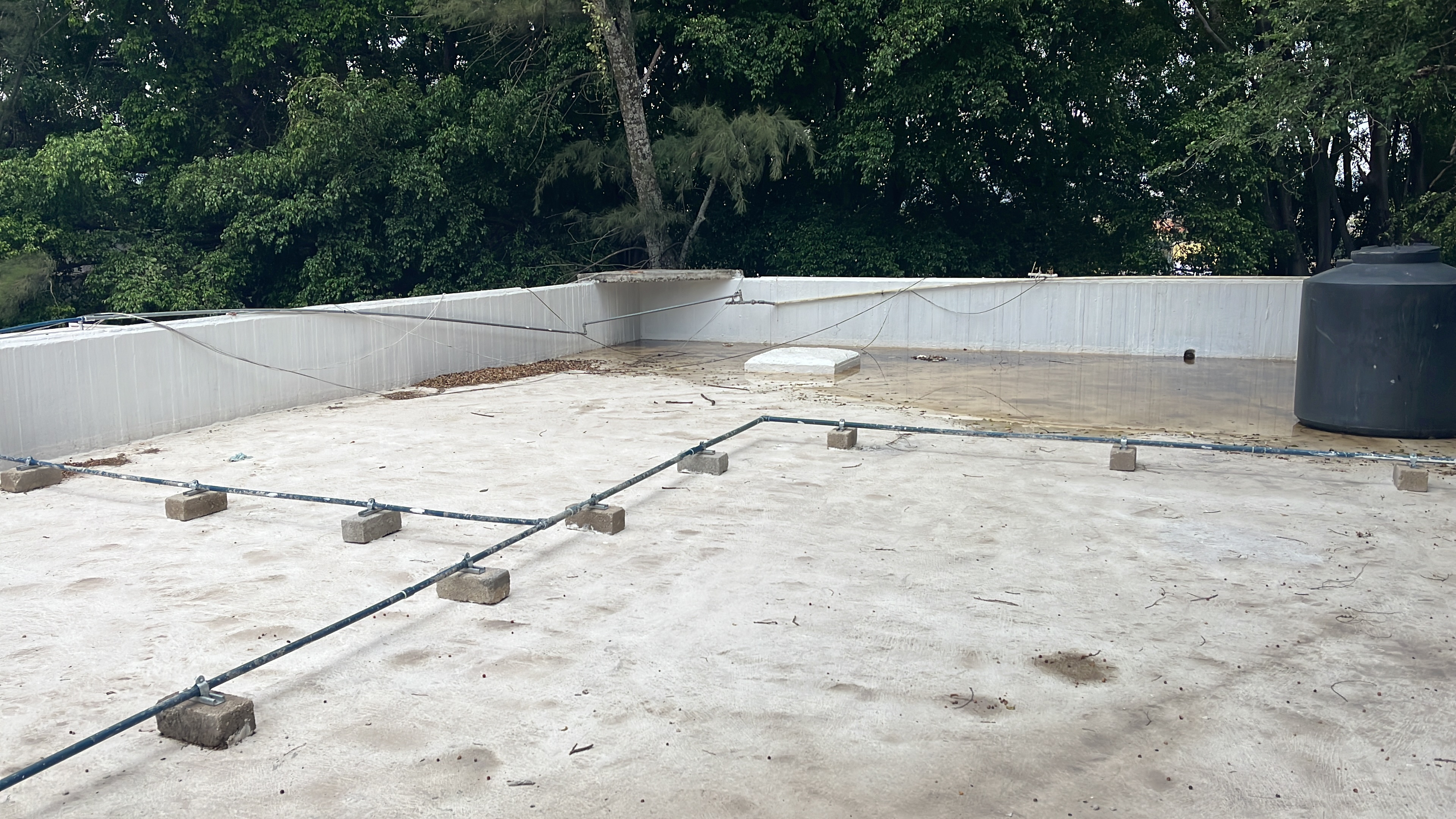 Imagen del proyecto