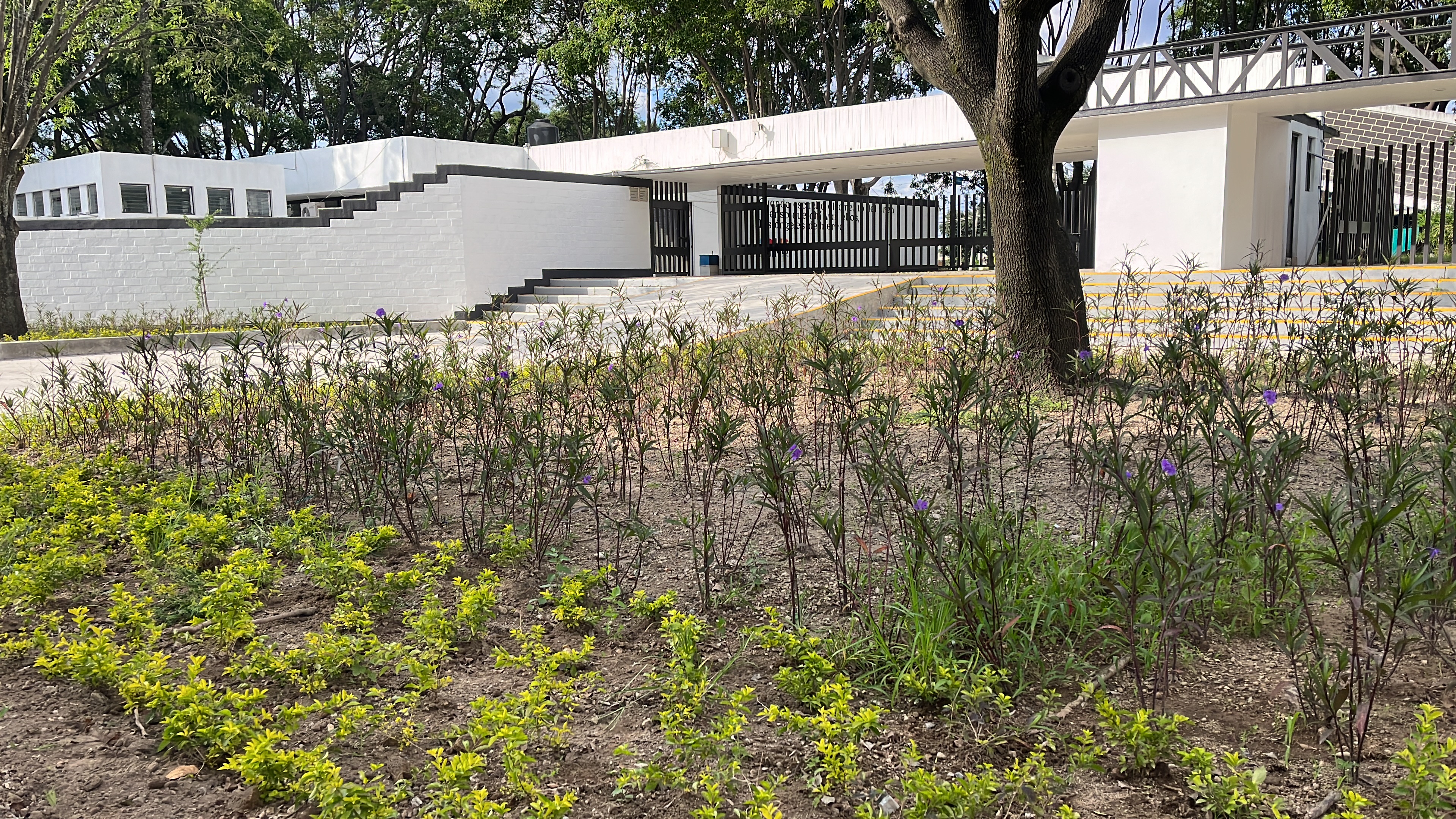 Imagen del proyecto