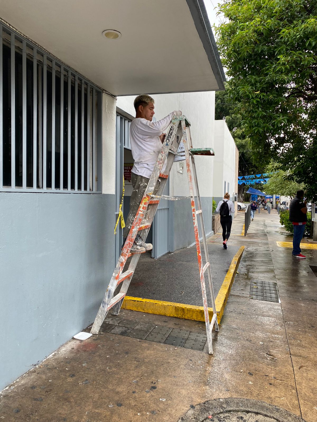 Imagen del proyecto