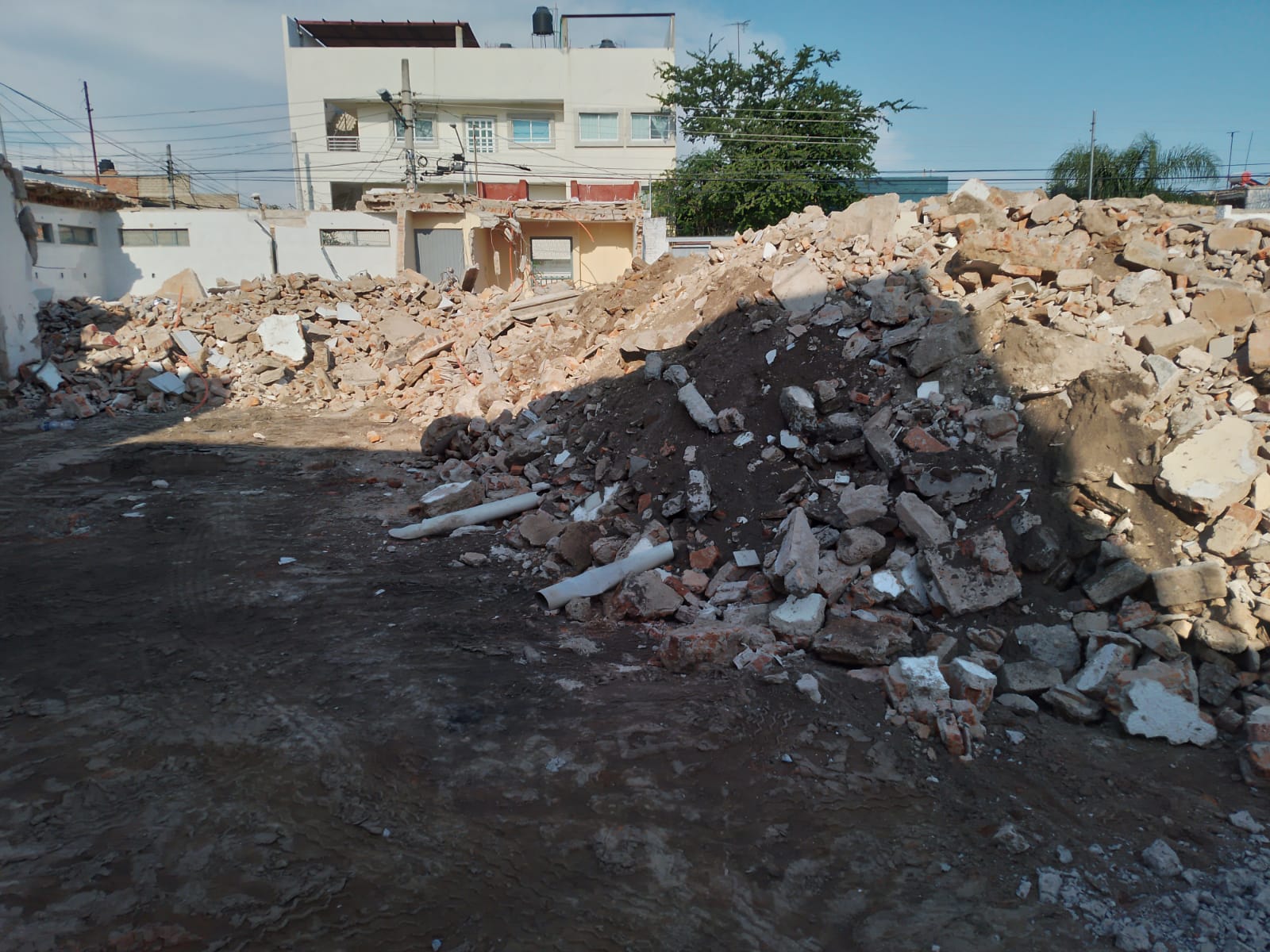 Imagen del proyecto