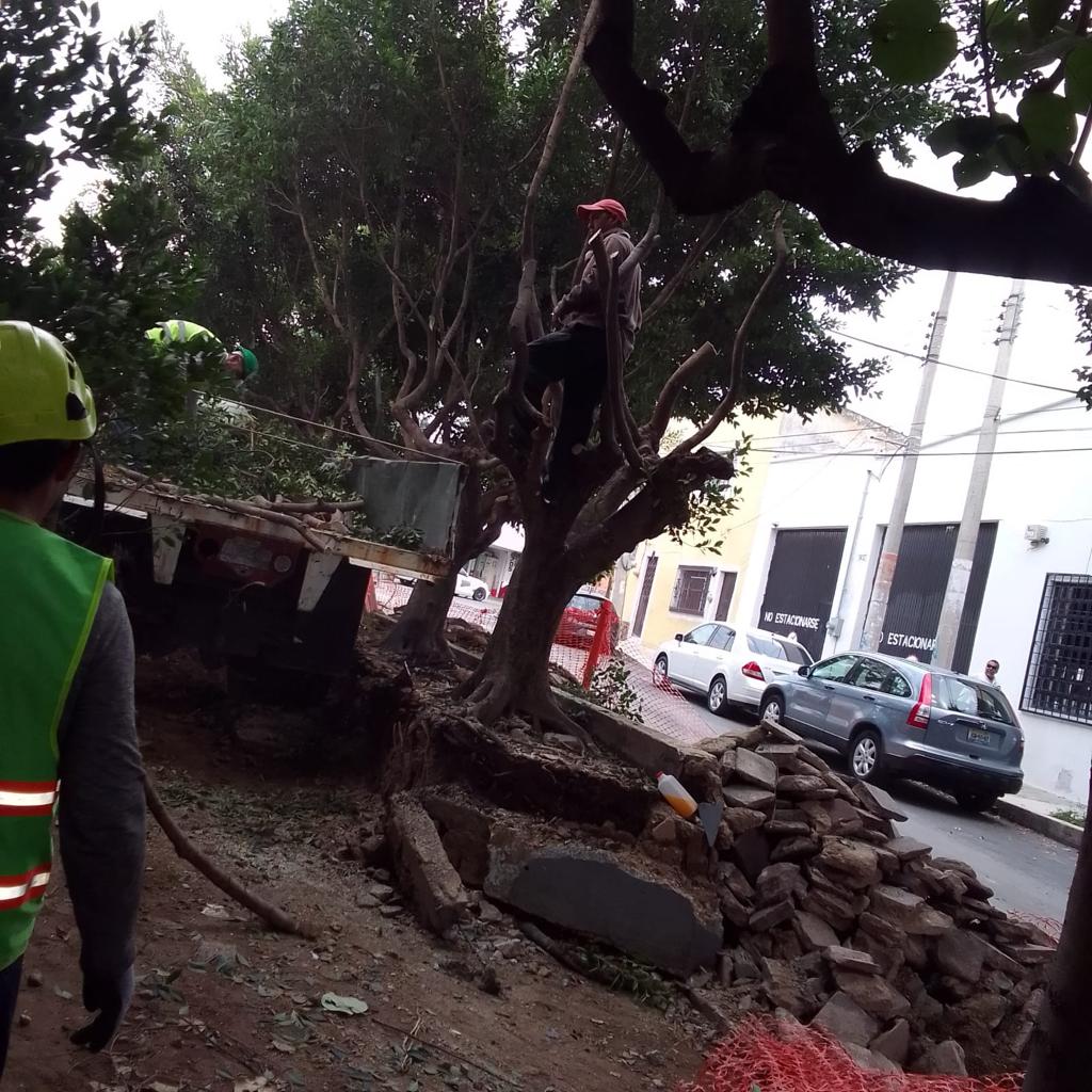 Imagen del proyecto