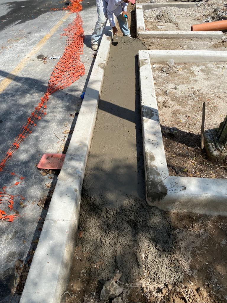 Imagen del proyecto