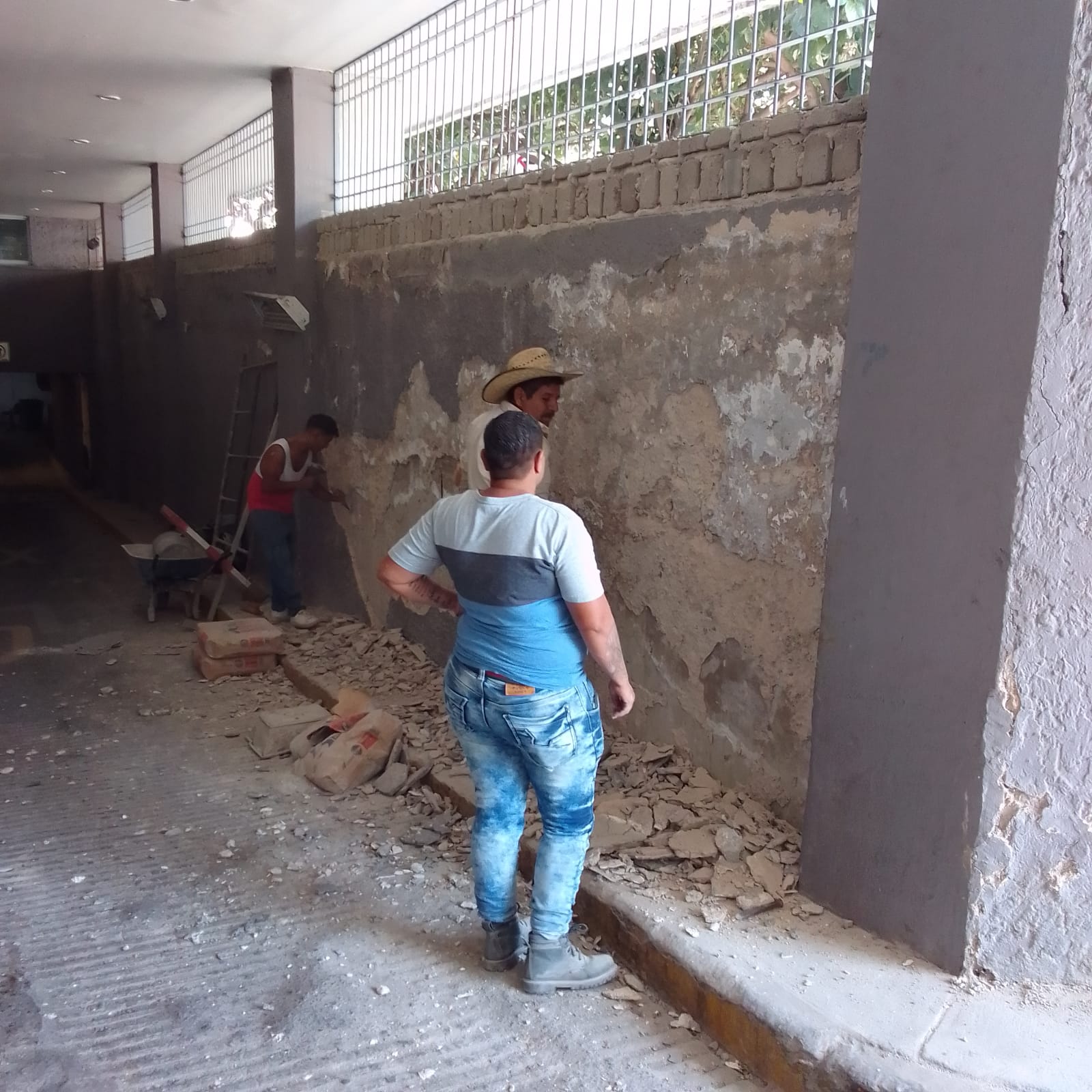 Imagen del proyecto