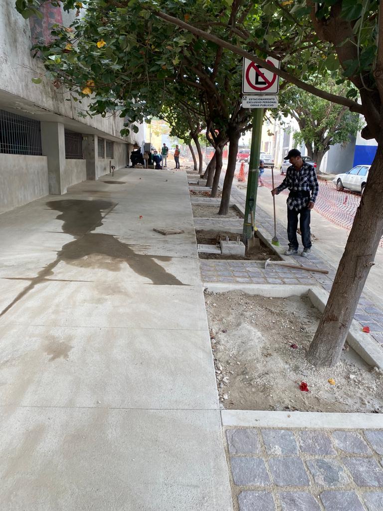 Imagen del proyecto