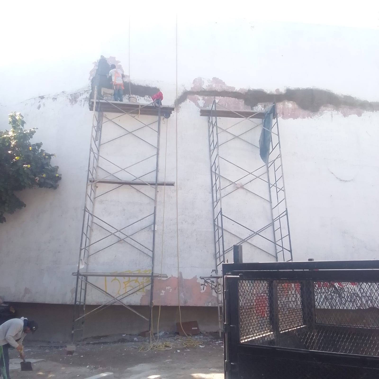 Imagen del Proyecto