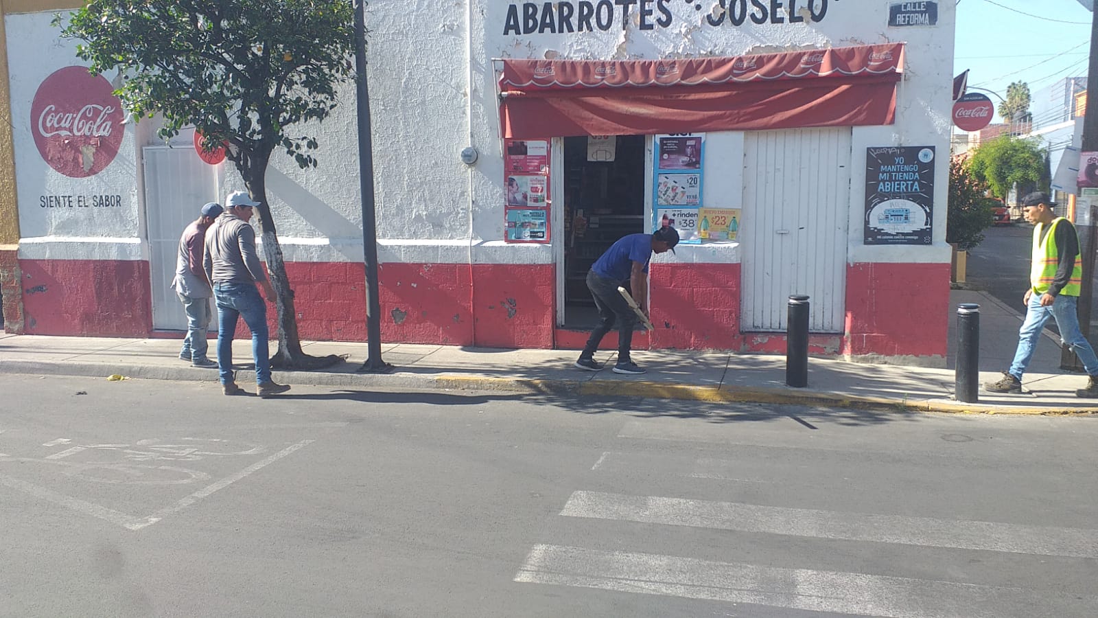 Imagen del proyecto