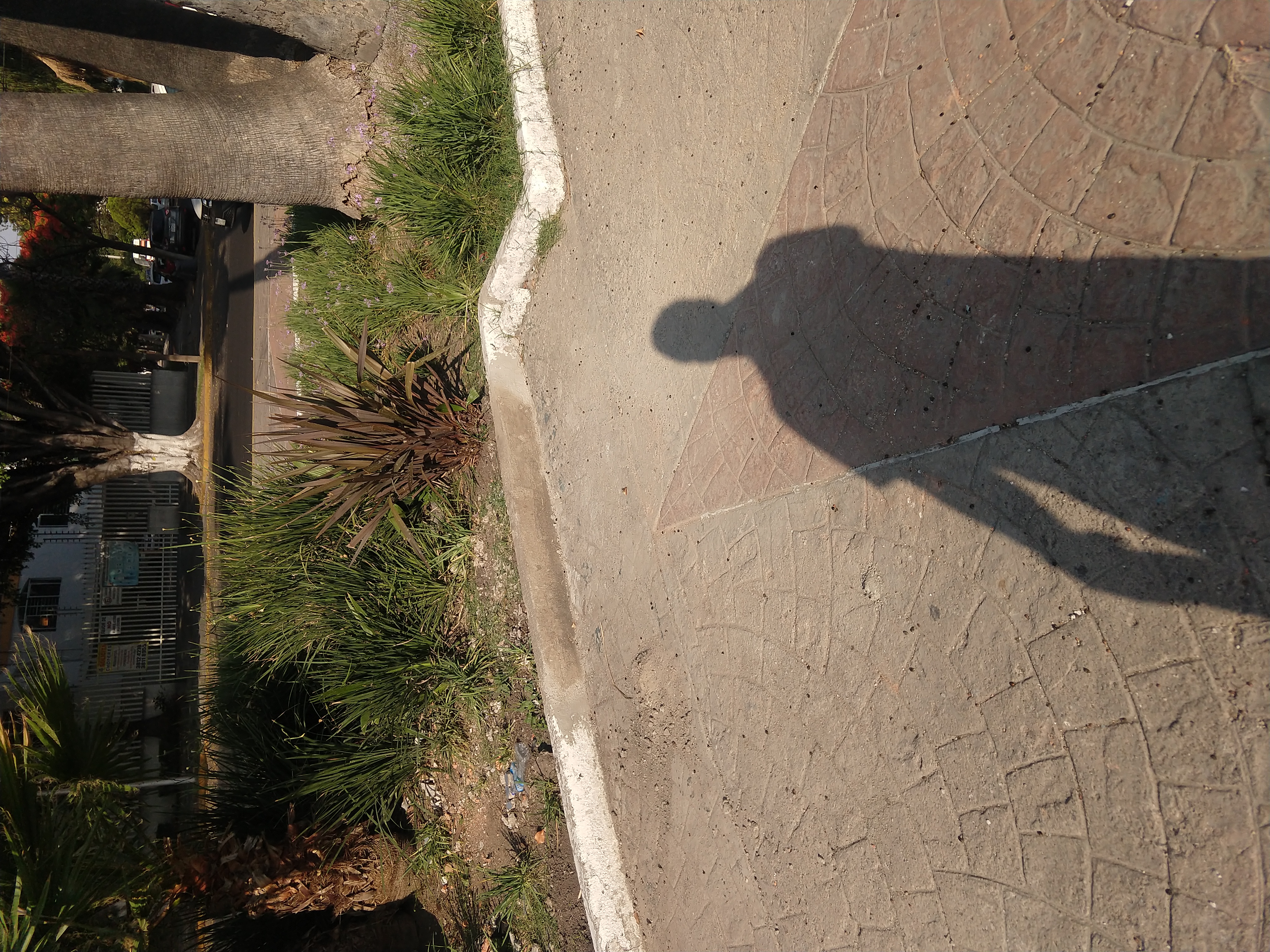 Imagen del proyecto